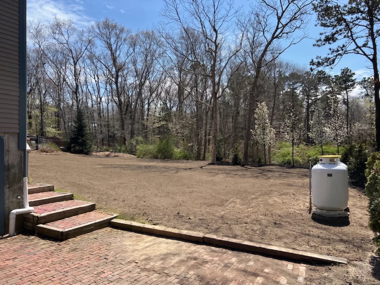 Backyard clearing and grading work in progress