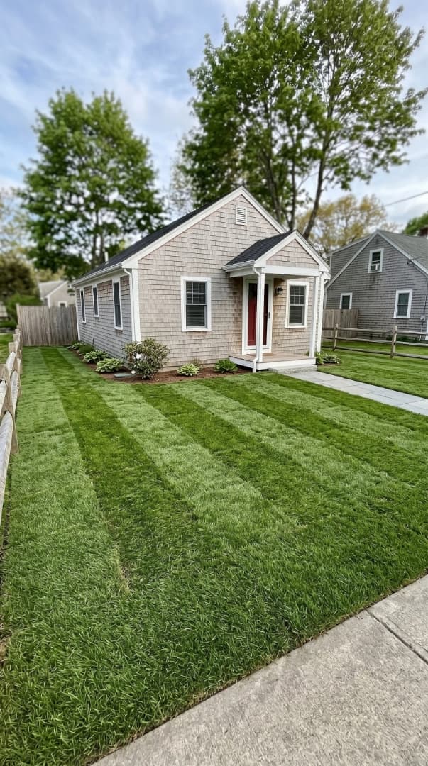 Premium Sod