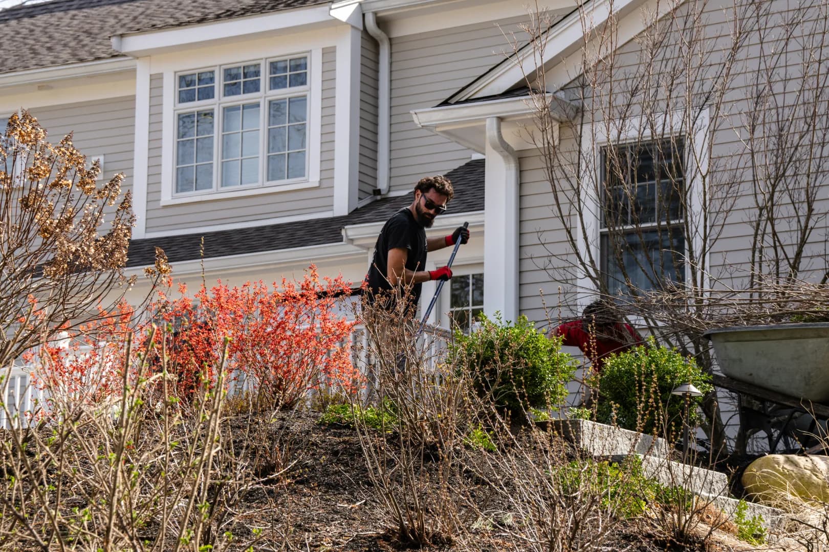 Relocating Established Landscapes